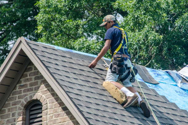 Best Local Roofing Companies  in Baldwyn, MS